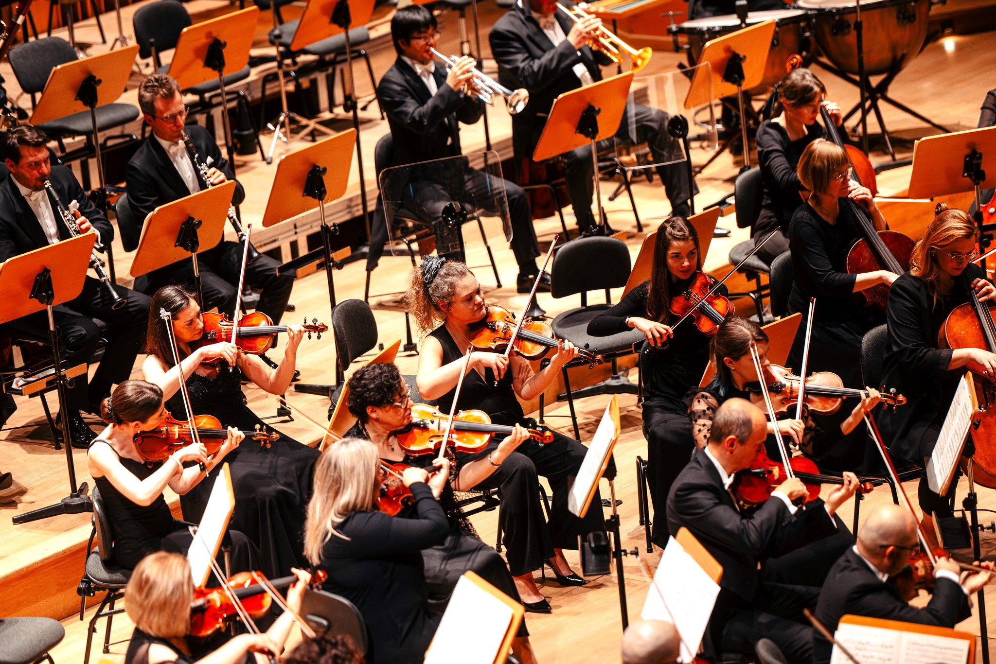 orkiestra filharmonia bałtycka