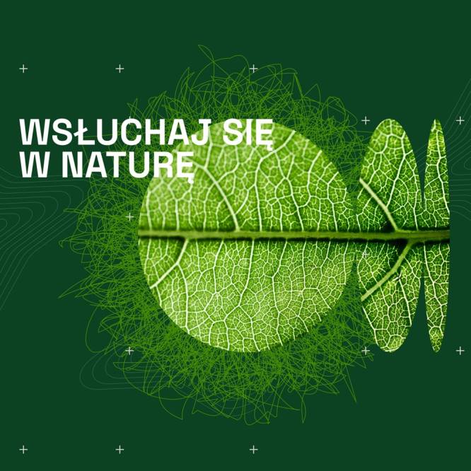 Wsłuchaj się w naturę - audio performans roślin w PFB