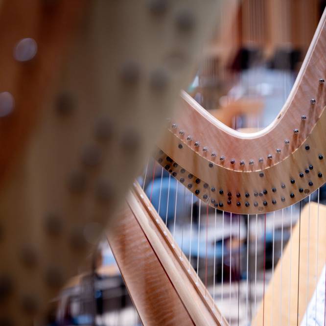 Grudzień w Filharmonii