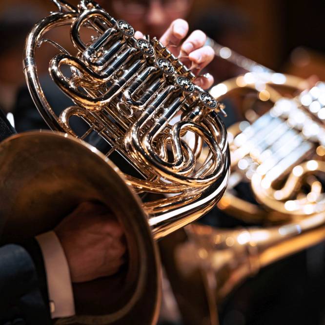 Co Was czeka w lutym?