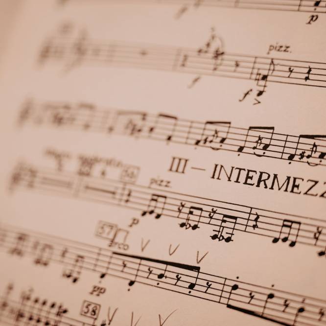 Muzyka w zabytkach starego Gdańska i Orkiestra PFB